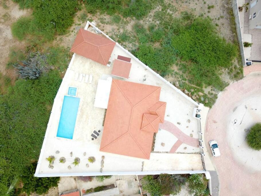 Jolie Villa Entire Villa In Noord, Aruba Palm Beach Exterior photo